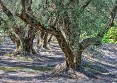 Φθινόπωρο στην ορεινή Ελλάδα: 7 προορισμοί για αποδράσεις με χρώματα και τζάκι