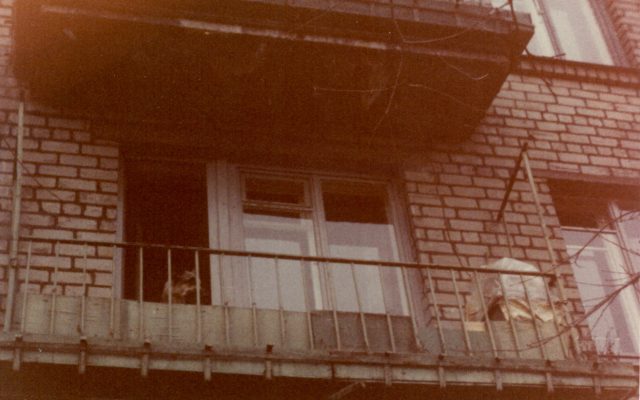 Σκύλος σε διαμέρισμα: 8 κανόνες για ένα ευτυχισμένο κατοικίδιο σε μικρό χώρο